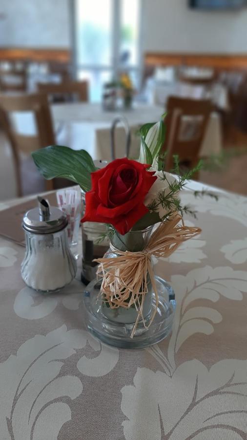 Prenociste I Restoran Ihthis 巴伊纳巴什塔 外观 照片